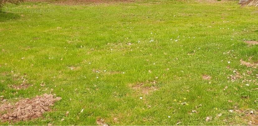 Terrain à BETHONCOURT