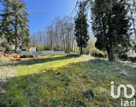 Photo 1 - Terrain à BETHEMONT-LA-FORET