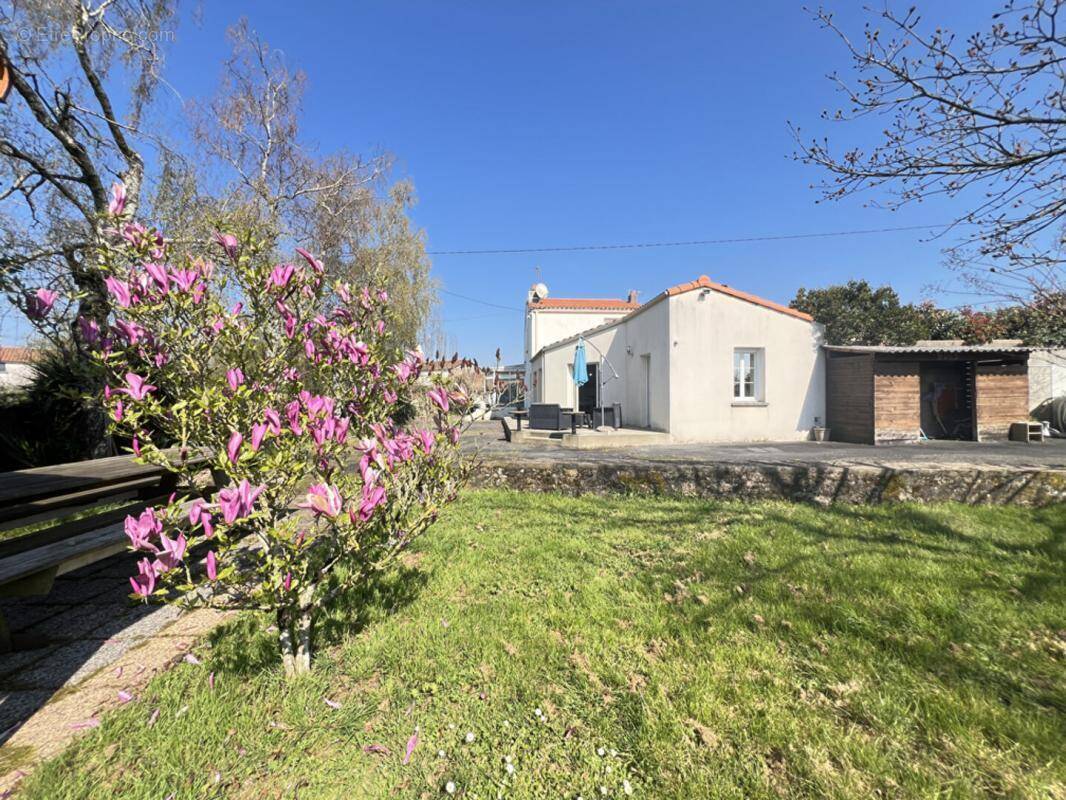 Maison à SAINT-MACAIRE-EN-MAUGES