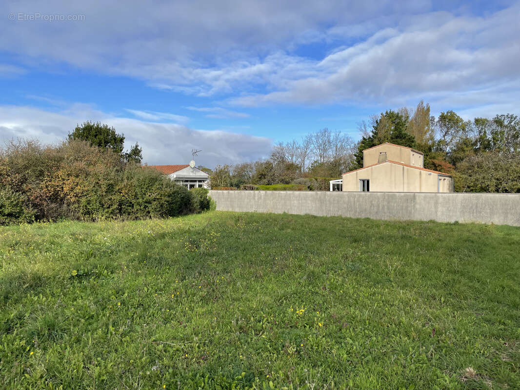 Terrain à SALLES-SUR-MER