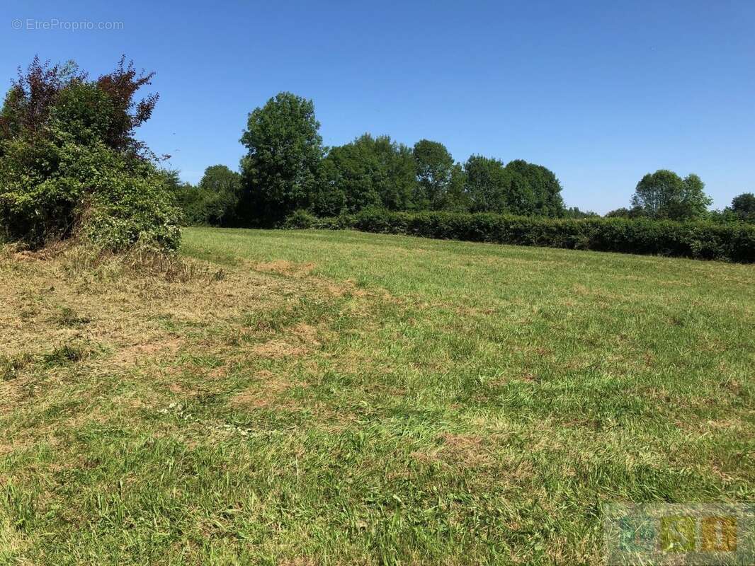 Maison ancienne avec dépendances sur un terrain de 5227 m² - photo 5
