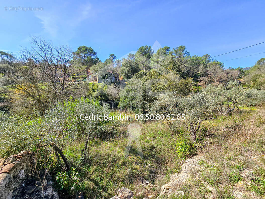 Terrain à SAINT-MAXIMIN-LA-SAINTE-BAUME