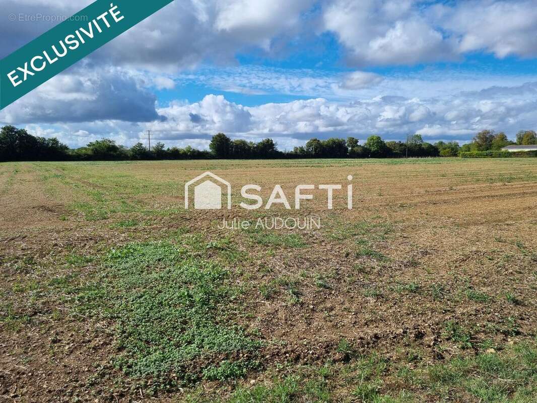 Photo 3 - Terrain à THORS