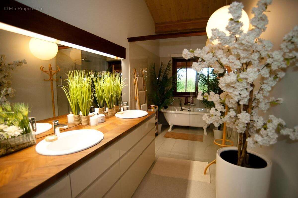 Maison à LA FOUILLOUSE