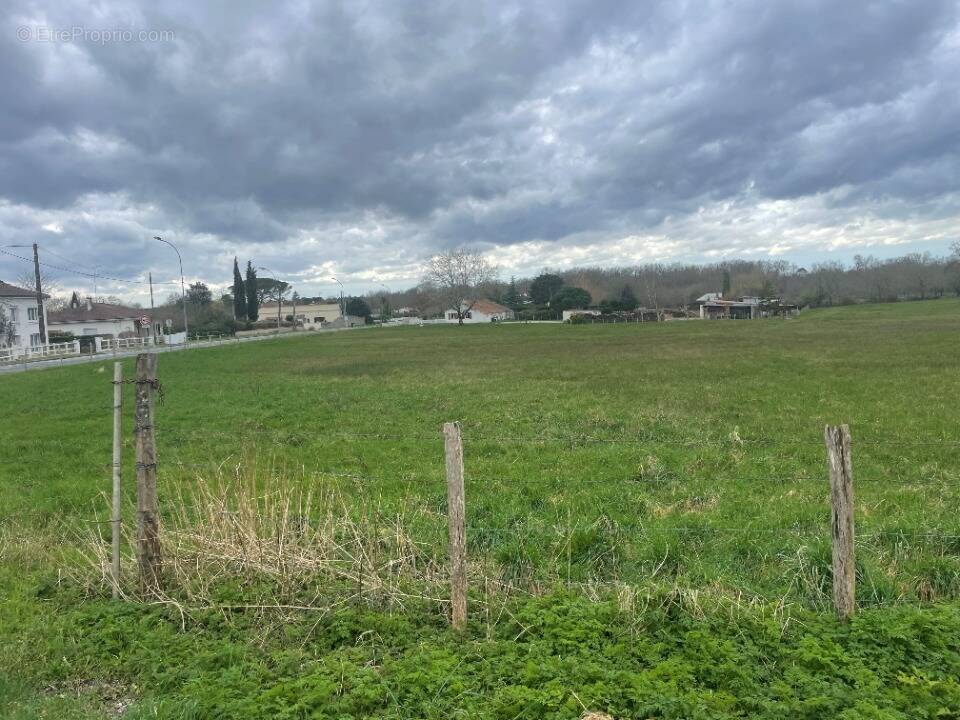 Terrain à SAINT-CHRISTOLY-DE-BLAYE