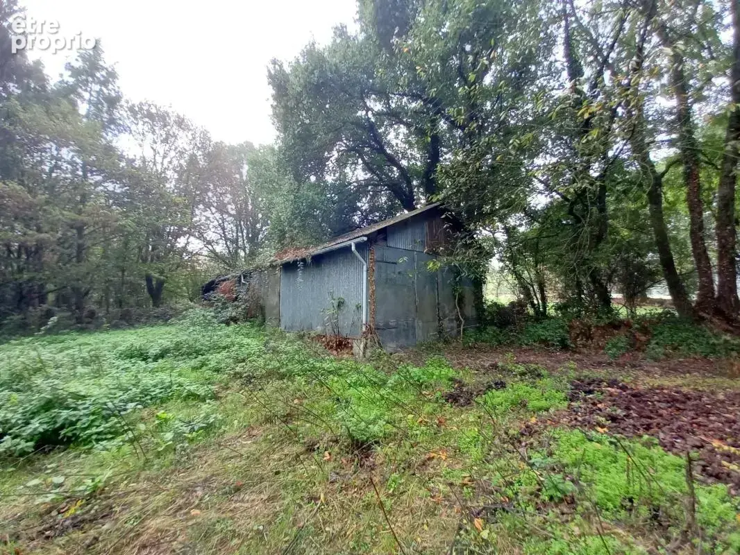 SAINT-PIERRE-LA-COUR – Longère en pierre 130m² avec dépendances et terrain d'1,34ha - photo 28