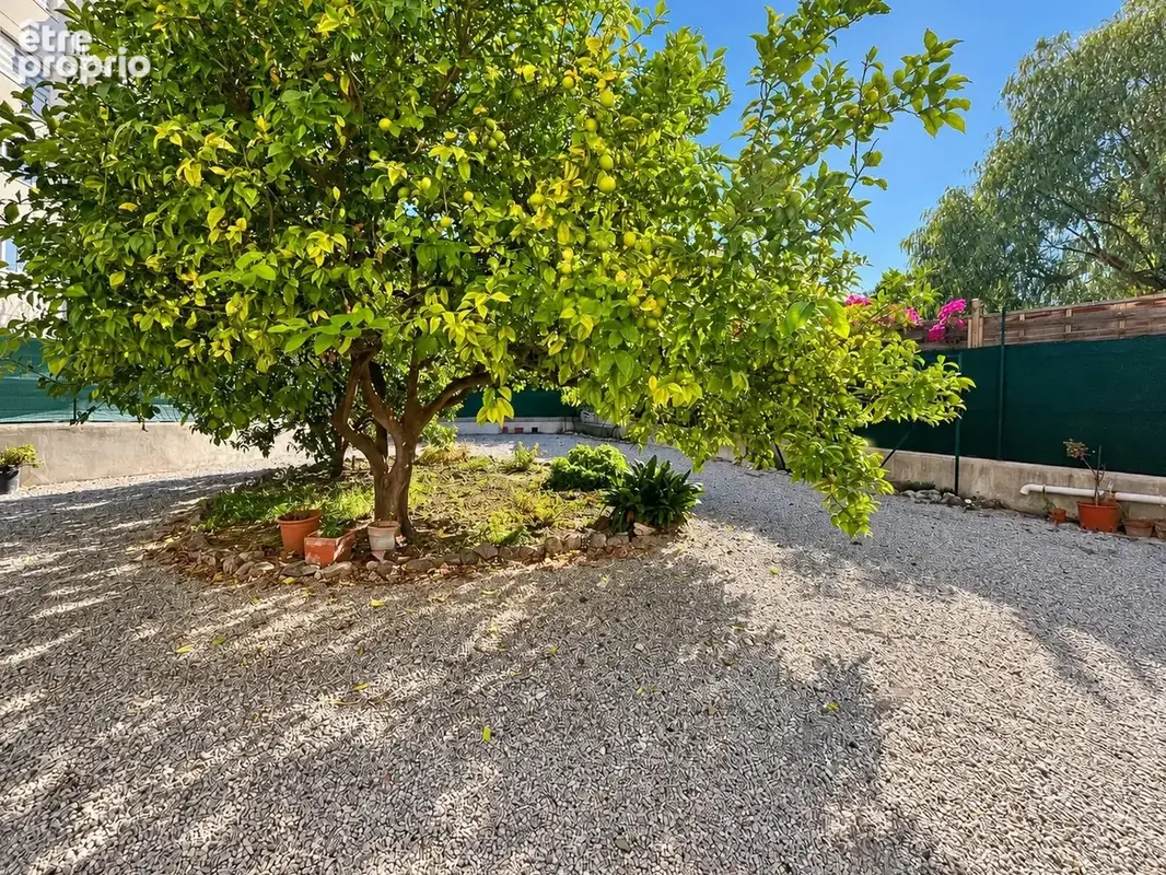 Maison niçoise - chambrun - photo 5