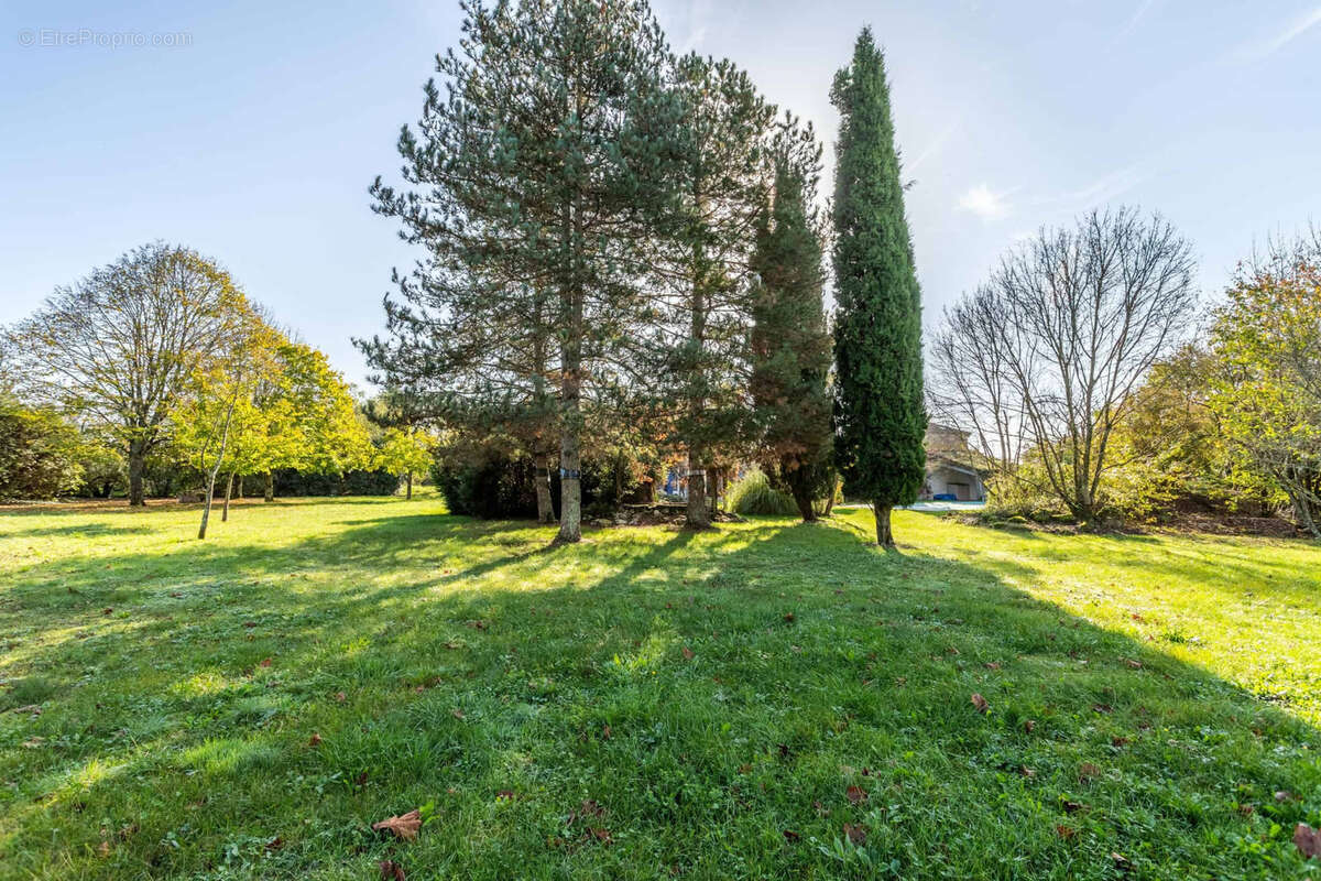 Country house with annexe, pool and land - photo 24