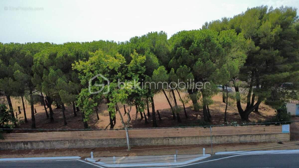 Terrain viabilisé de 1 872 m² – lézignan-la-cèbe – à 5 min de pézenas - photo 10