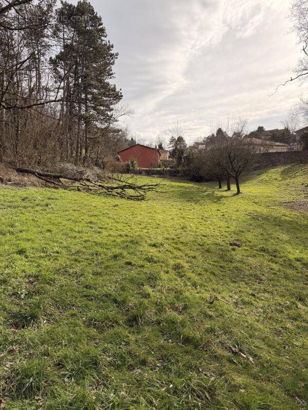 Terrain à SATHONAY-CAMP