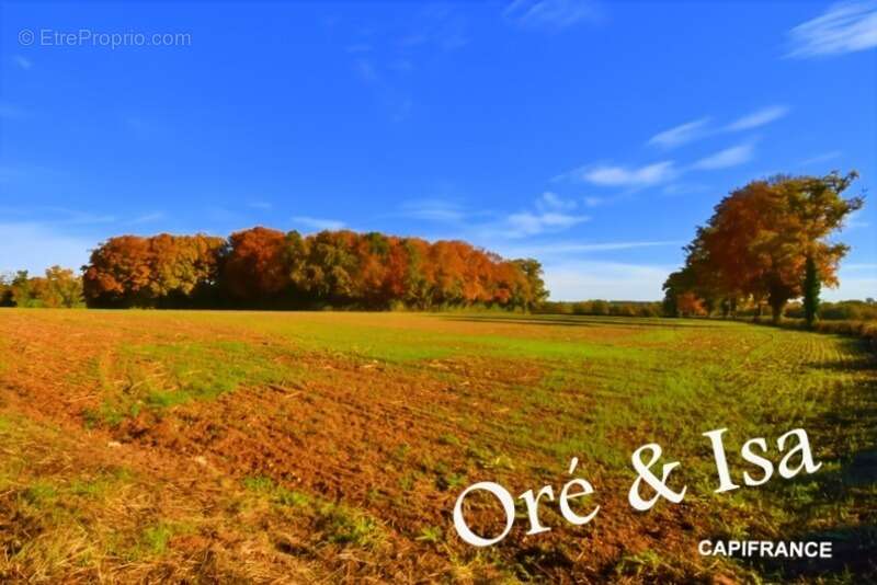 Terrain à SAINT-DESIRE