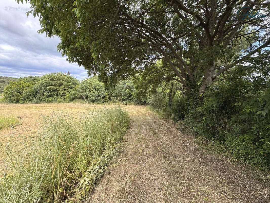 Terrain à LE POUGET