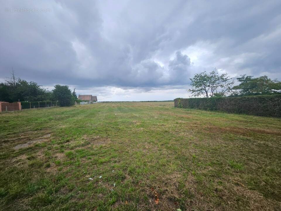 Terrain à PARVILLE