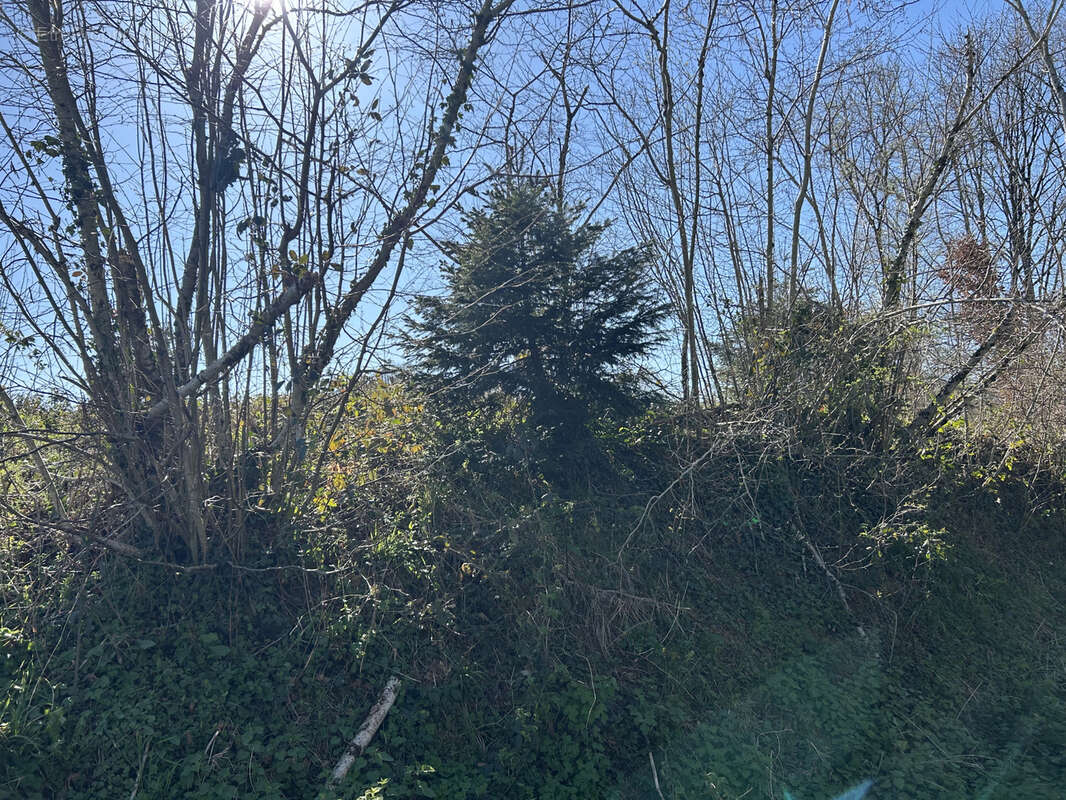 Terrain à BOISSEUIL