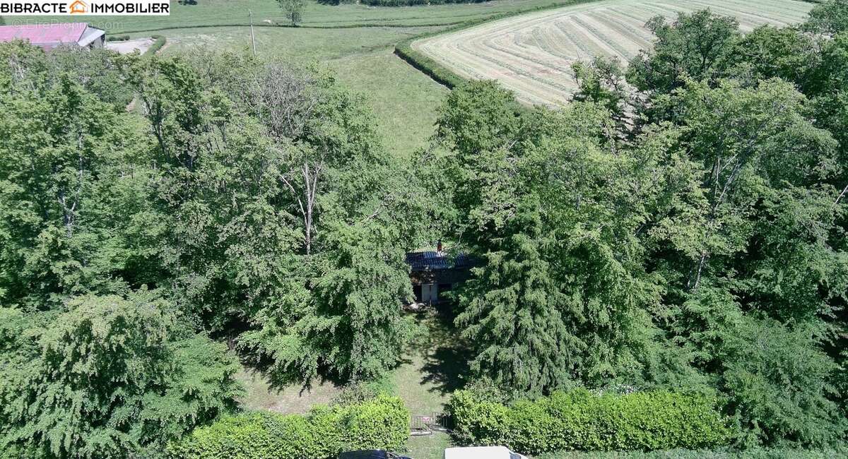 Terrain à UXEAU