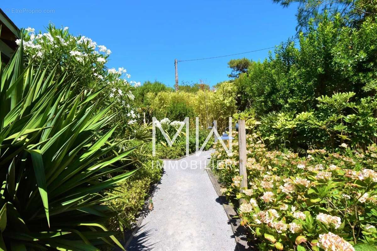 Maison à LEGE-CAP-FERRET