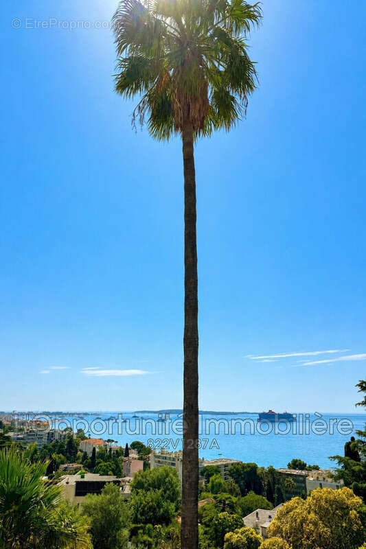 Appartement à CANNES