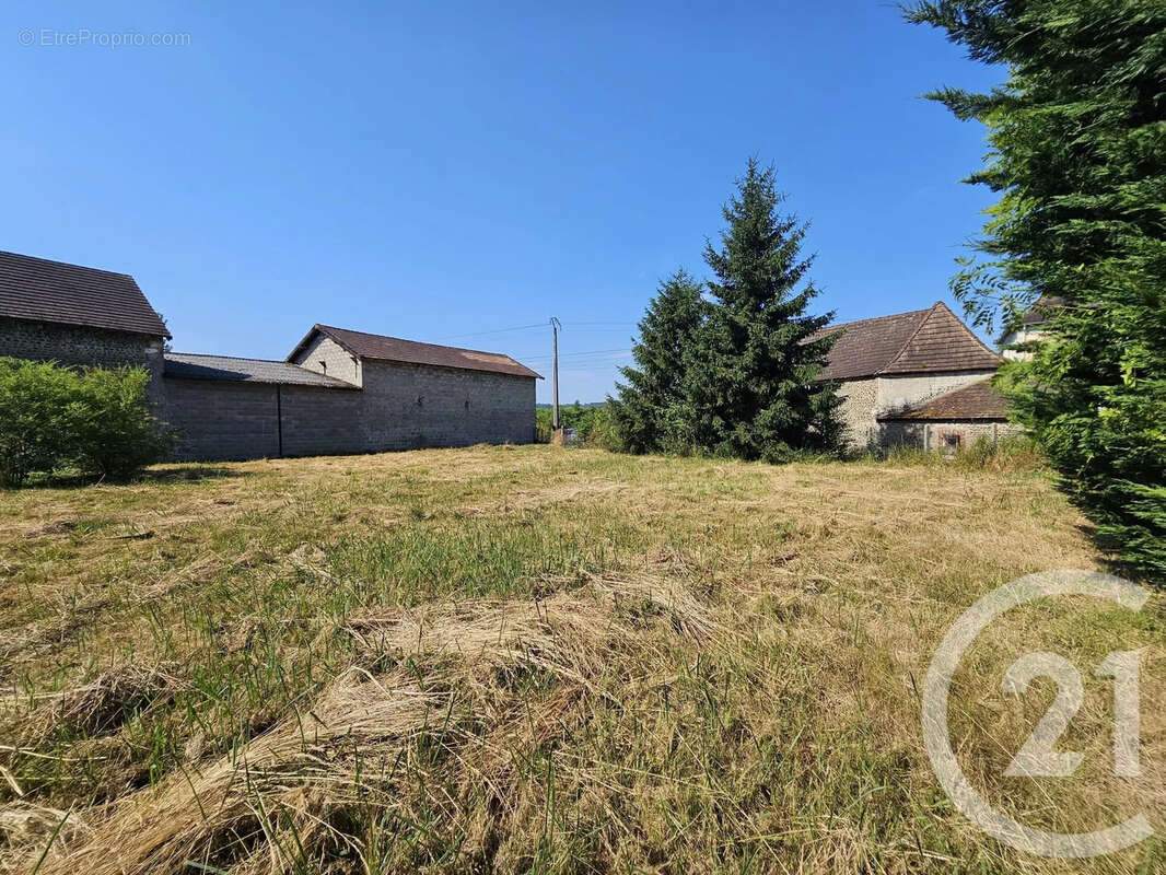Terrain 1003 m² à Mont  - photo 5