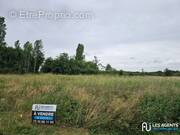 Terrain à AUVILLIERS-EN-GATINAIS