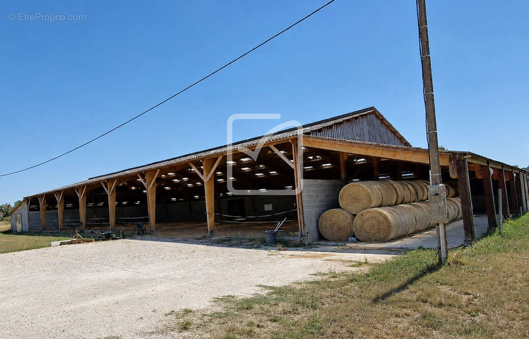 Rare   propriété équestre près de villeréal   20 ha   25 boxes   2 aires couvertes   2 habitations - photo 12