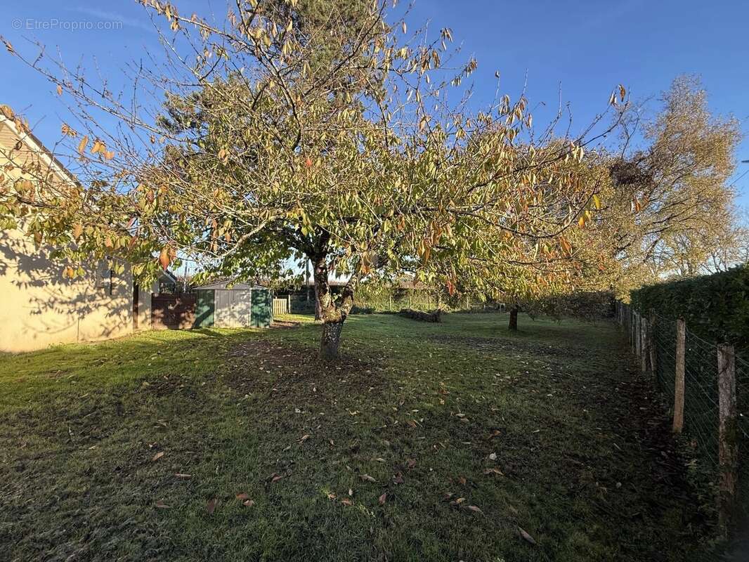 Maison à SAINTE-CHRISTIE-D&#039;ARMAGNAC