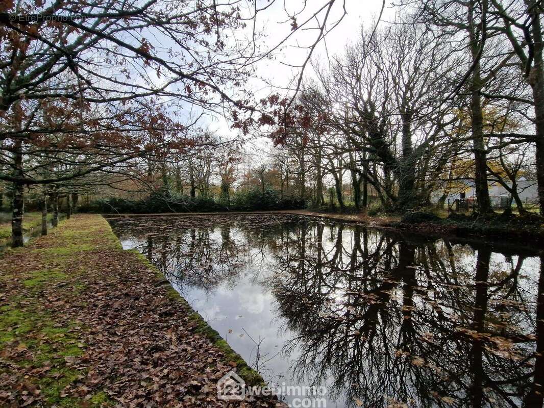 Terrain à VENANSAULT