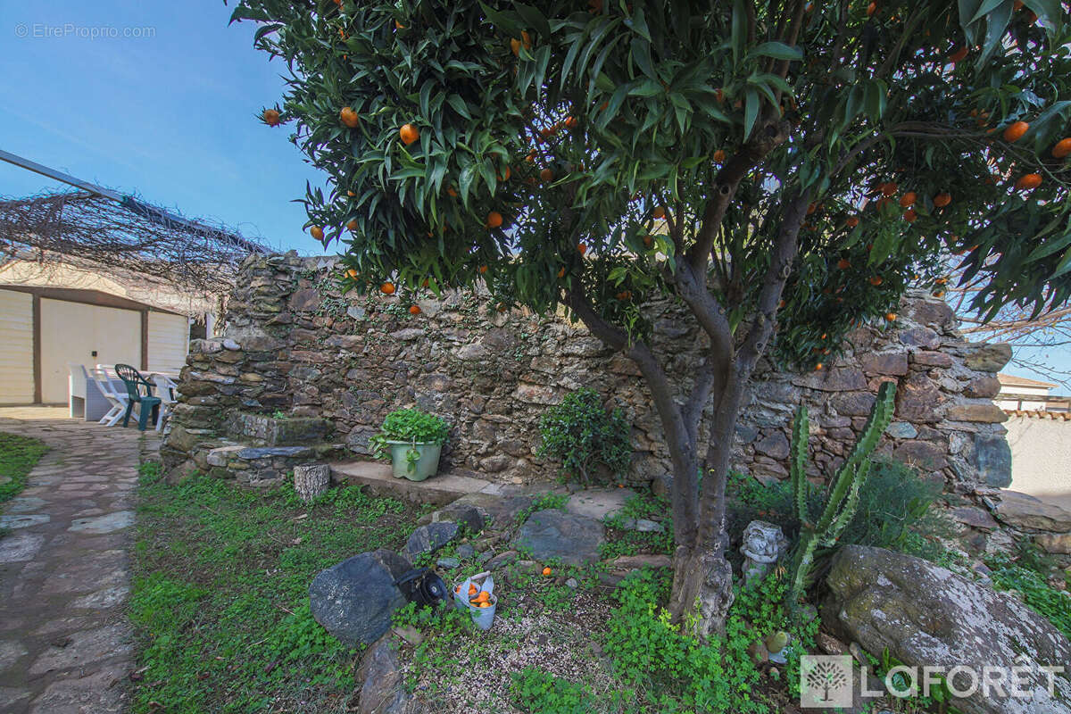 Maison à SORBO-OCAGNANO