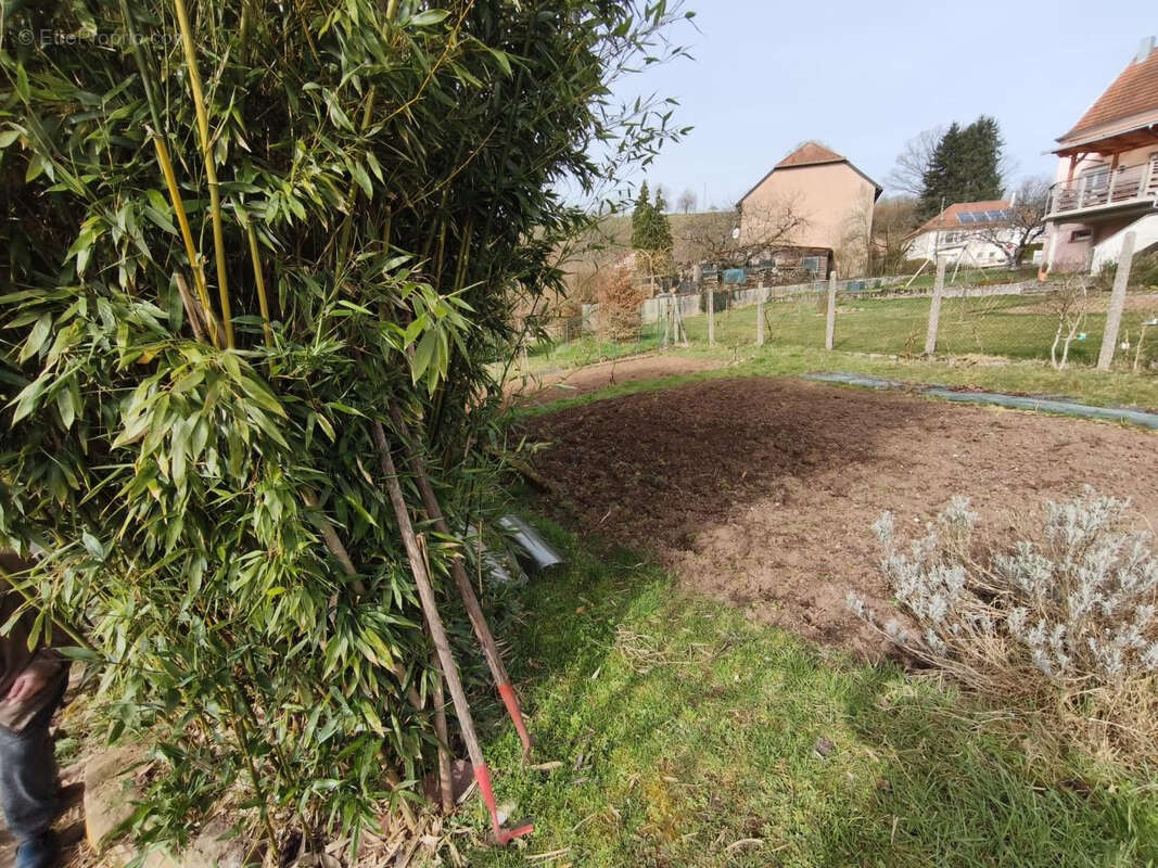 Maison  175 m² - photo 6