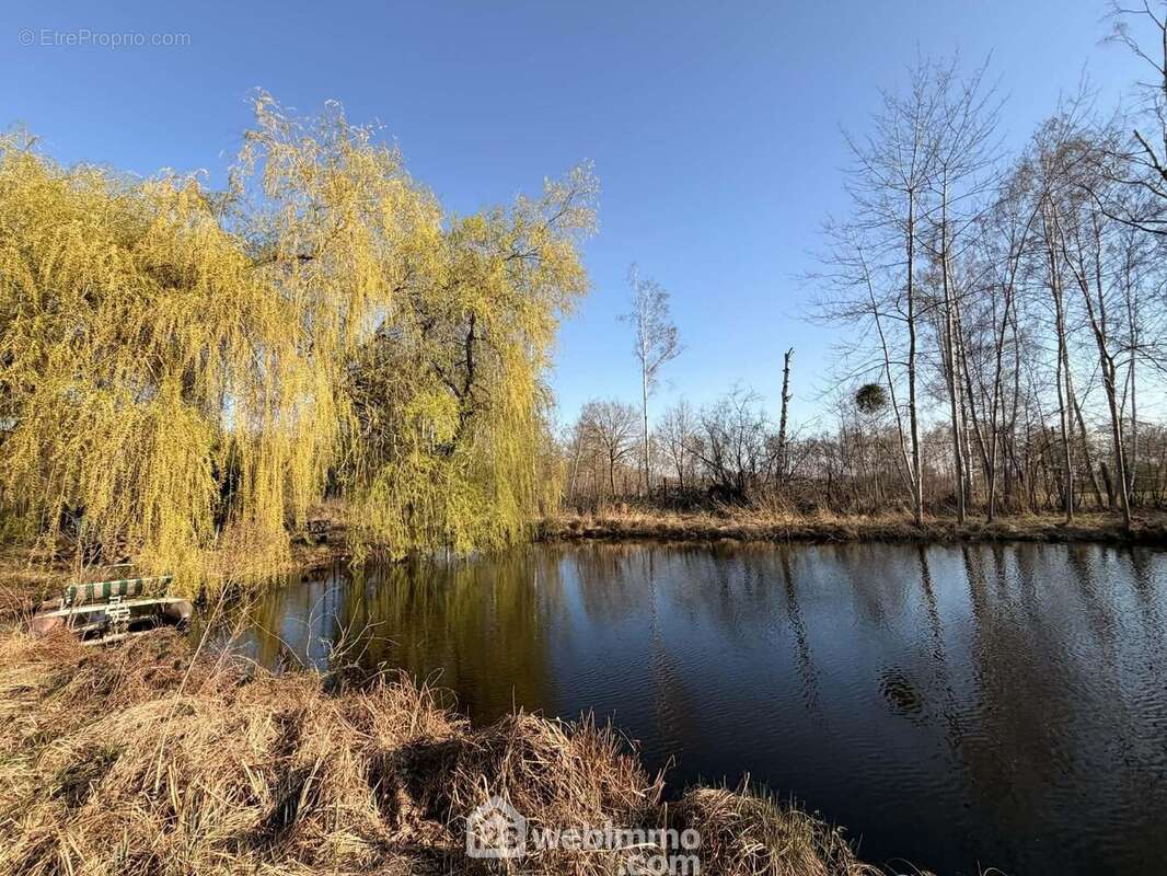 Imaginez vos journées d?été au bord de l?eau, entouré de verdure - Terrain à PIERREPONT