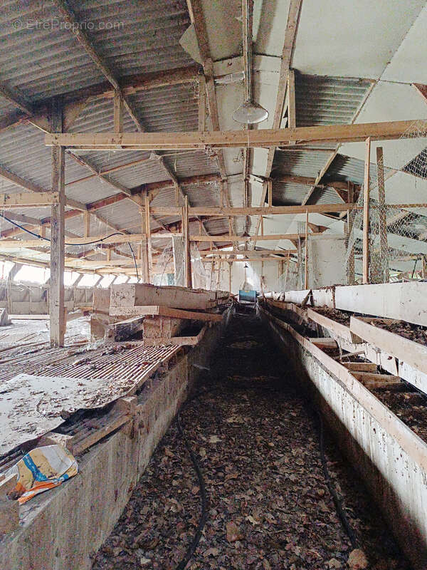 Autre à SAINT-DOLAY