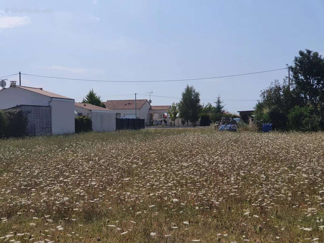 Terrain à GEMOZAC