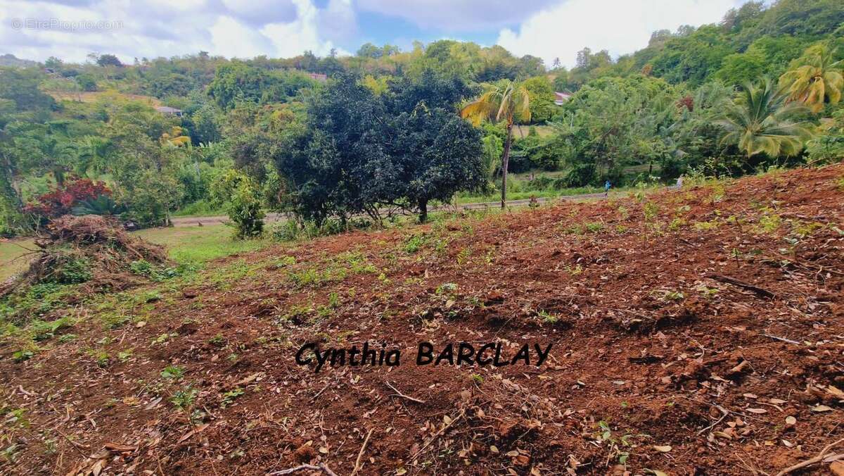 Terrain à LE FRANCOIS