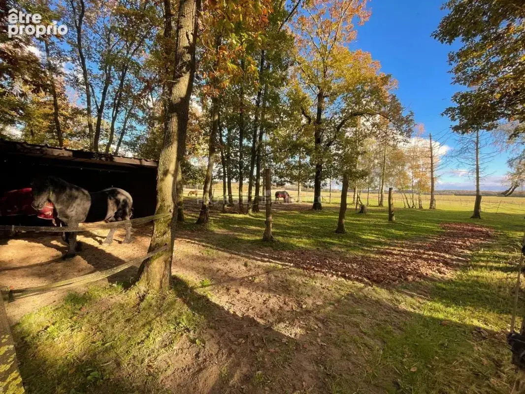 Propriété et Installations équestres sur 9,5 hectares dans le - photo 11
