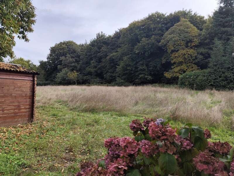 Terrain à SAINT-JACUT-LES-PINS