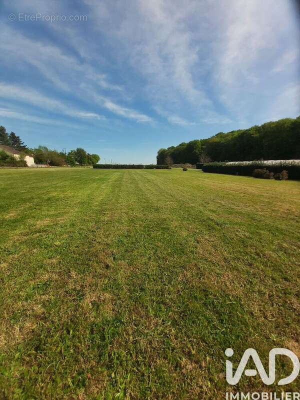 Photo 3 - Terrain à LA SELLE-SUR-LE-BIED