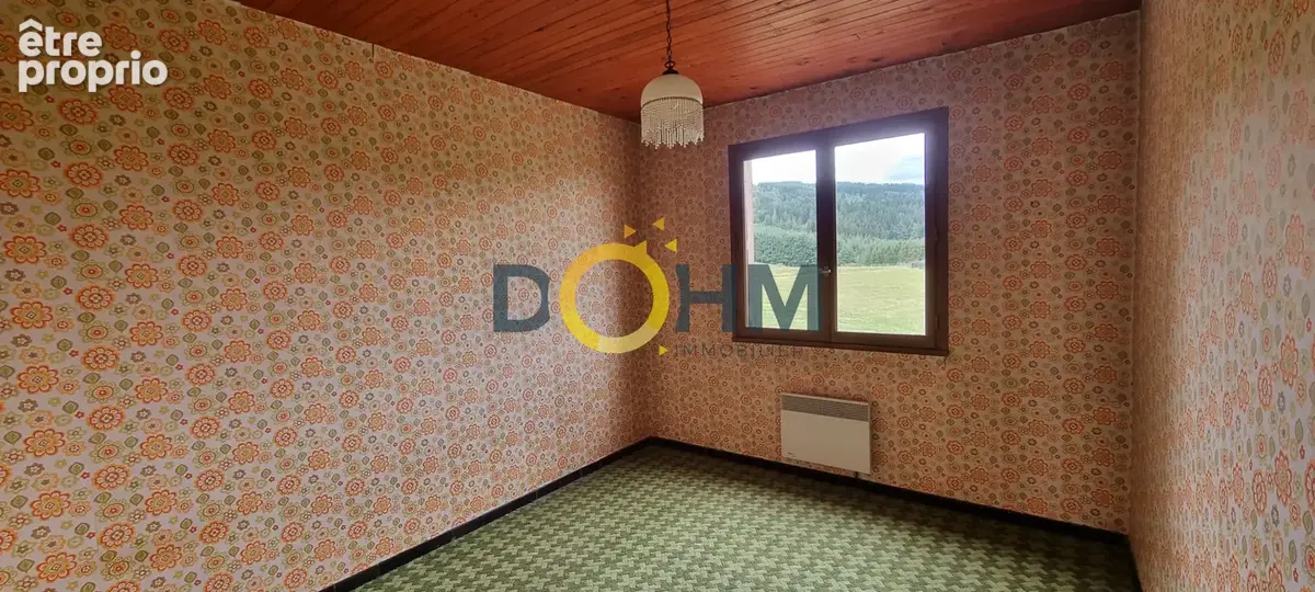 Maison 177m2 Habitables sur la commune de Luriecq avec 2726m2 de terrain - photo 8