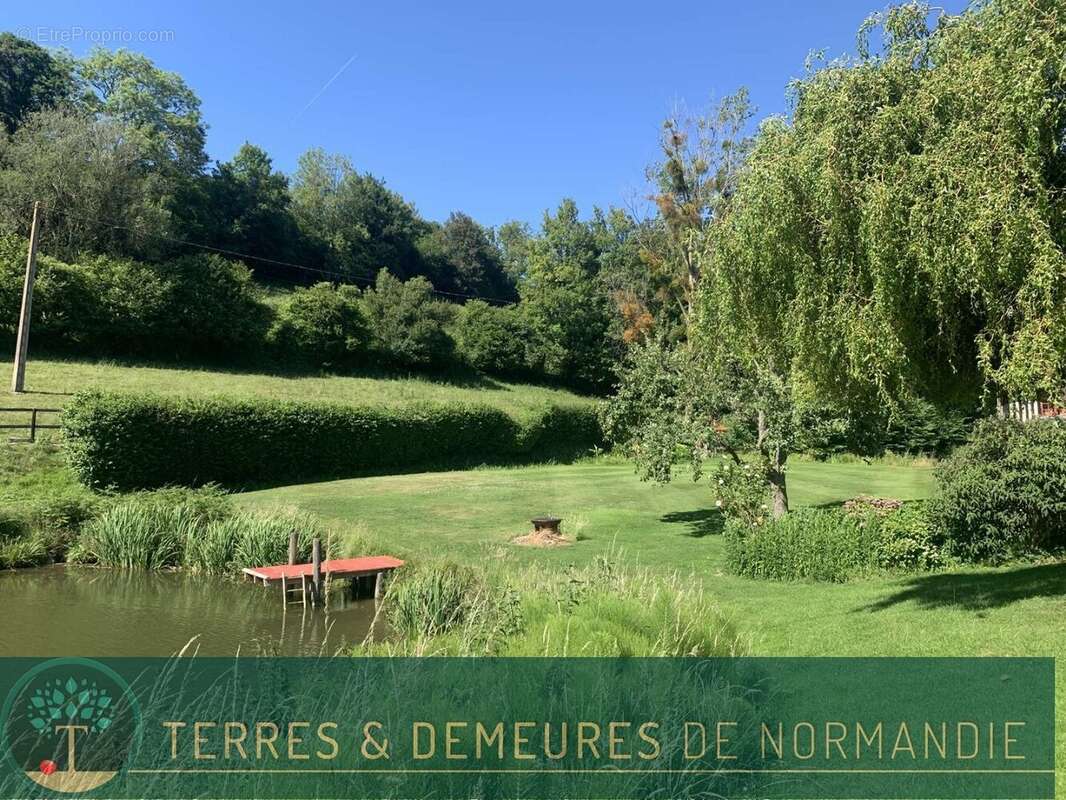 A vendre dans le PAYS D'AUGE du CALVADOS, secteur LISIEUX, haras d'élevage de chevaux sur une surface de 48 ha. - photo 9