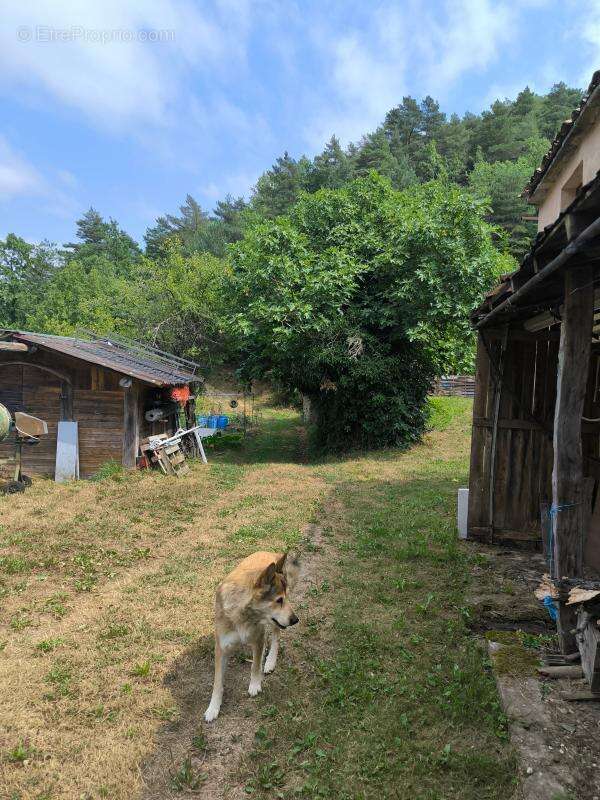 Maison en pierre  de 126 m2 terrain 5781 m2 + dependances+ gite - photo 17