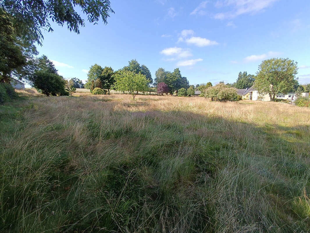 Saint Igeaux terrain a vendre - photo 5