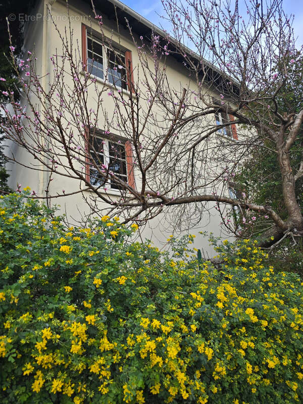 Maison à RUEIL-MALMAISON