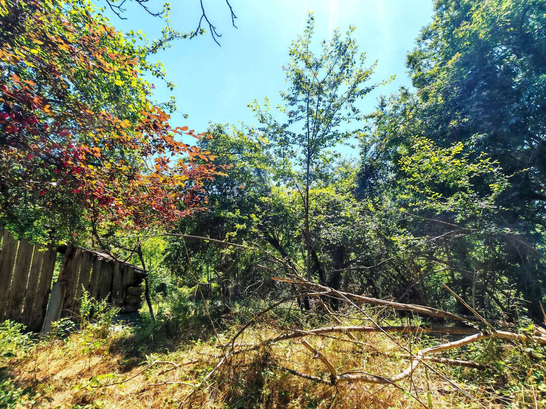 Photo 3 - Maison à BELVEDERE