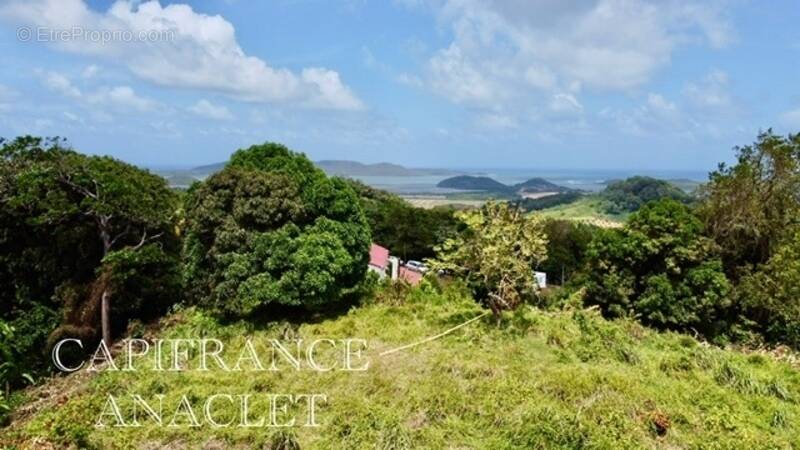 Terrain à LA TRINITE