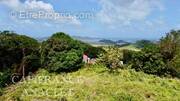 Terrain à LA TRINITE