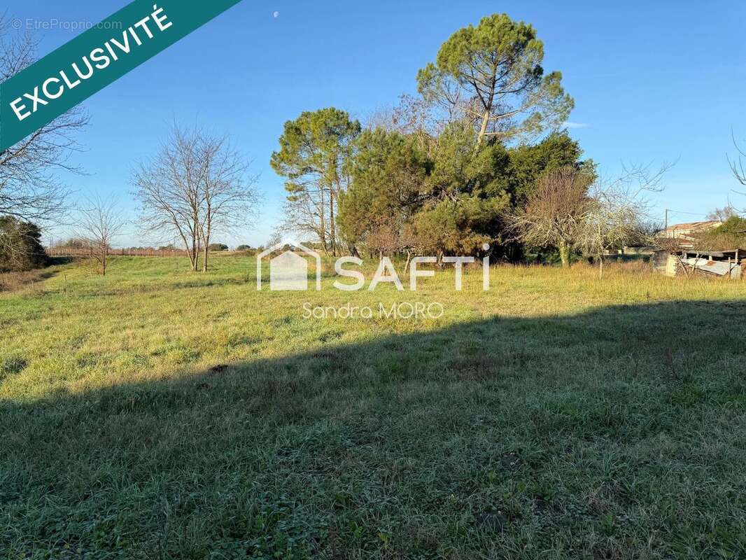 Photo 7 - Maison à CERONS