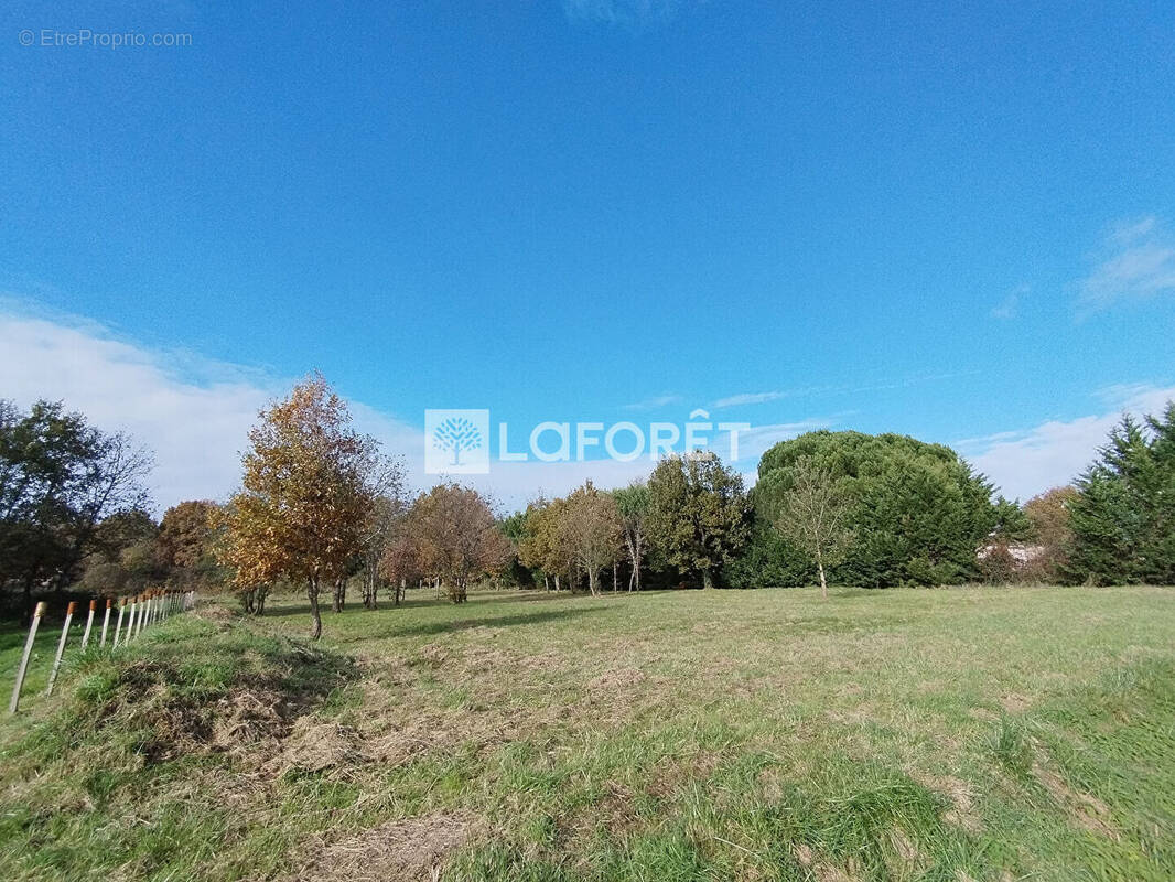 Terrain à CASTELSARRASIN