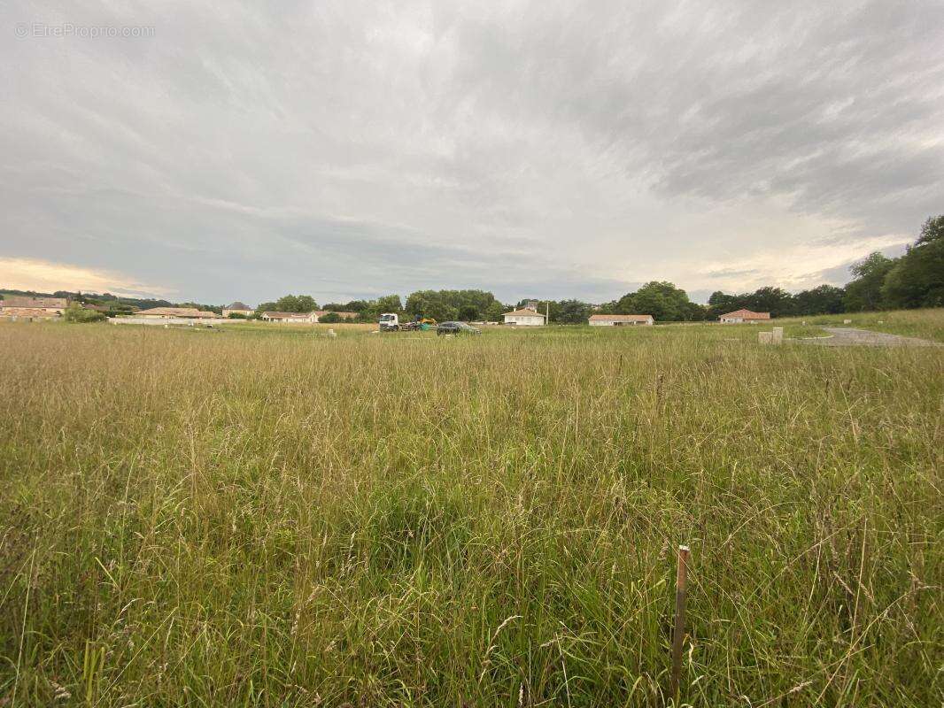 Terrain à CAUNEILLE