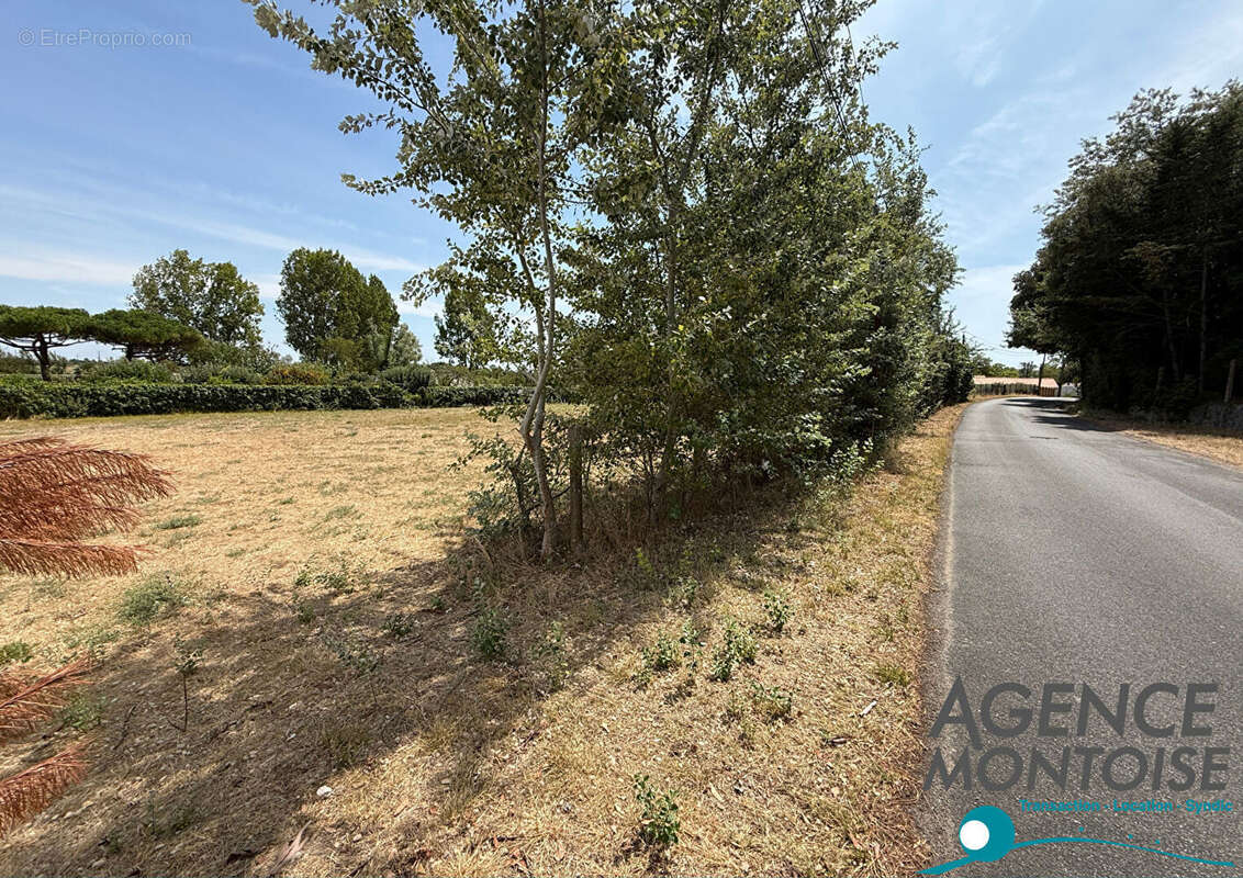 Terrain Notre Dame De Monts 800 m2 - photo 4