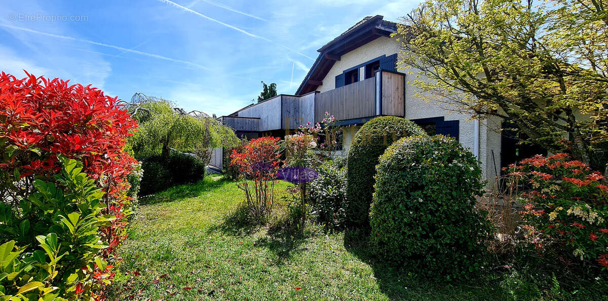Maison à EXCENEVEX