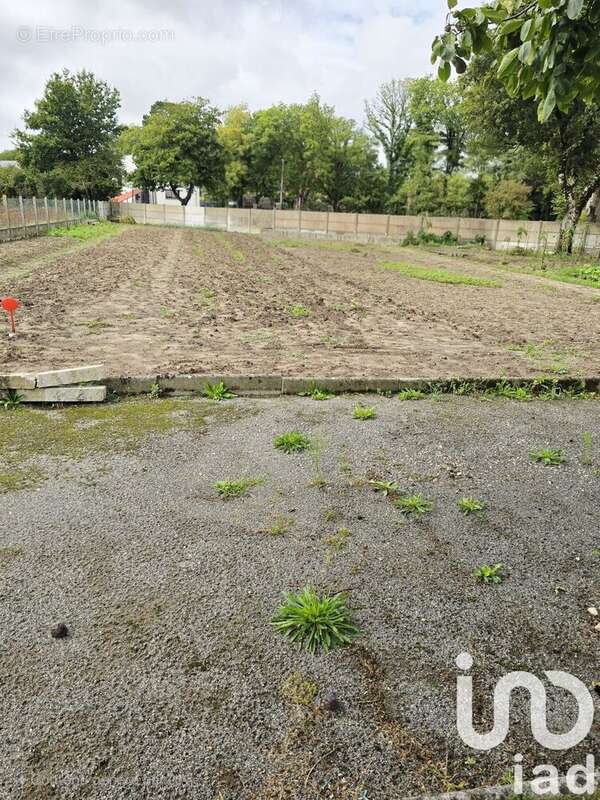 Photo 3 - Terrain à LA CHAPELLE-DES-MARAIS