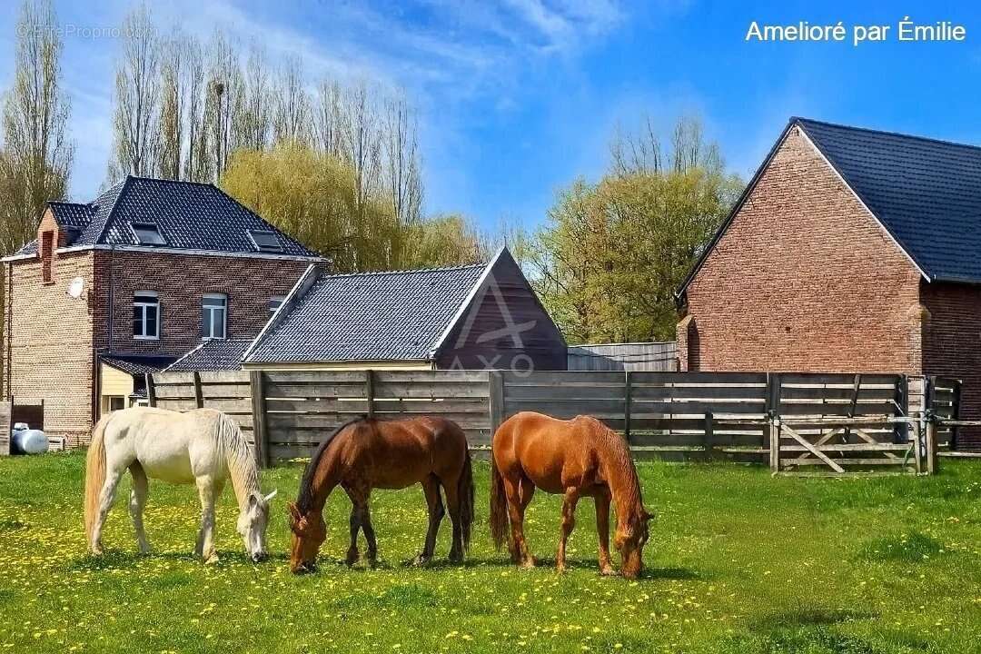 Maison à MILLONFOSSE